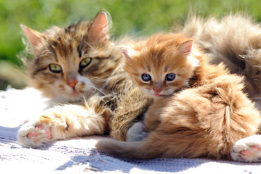 Similar image 1777814