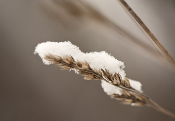 Similar image 1777817