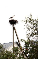 Similar image 1777828