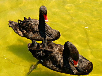 Similar image 1777832