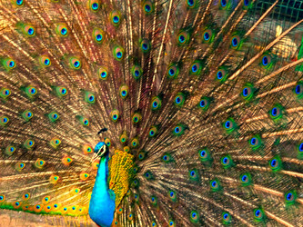 Similar image 1777834