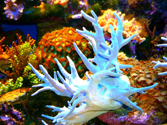 Similar image 1777835