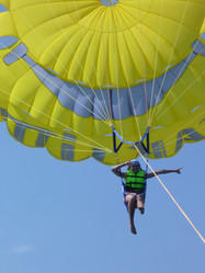 Similar image 1777866