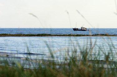 Similar image 1777906