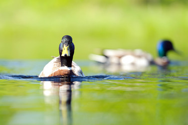 Similar image 1777908