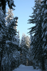 Similar image 1777978