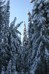 Similar image 1777979