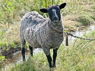 Similar image 1778111