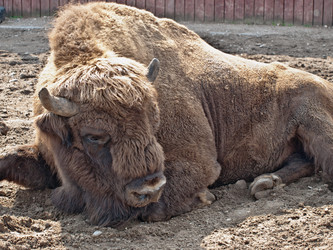 Similar image 1778112