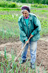 Similar image 1778131