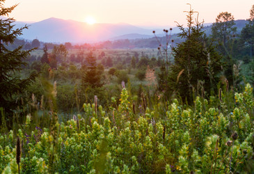 Similar image 1778201