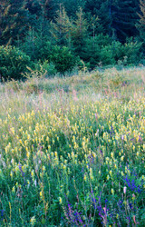 Similar image 1778202