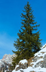 Similar image 1778236