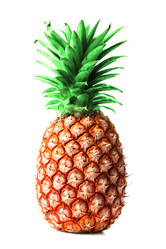 Similar image 1778554