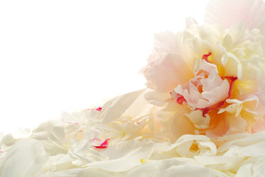 Similar image 1778923