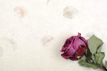 Similar image 1778924