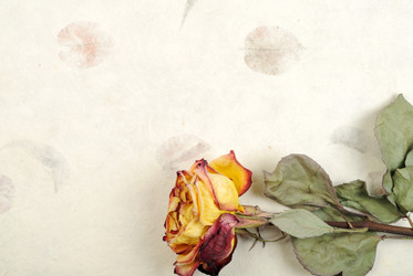 Similar image 1778925