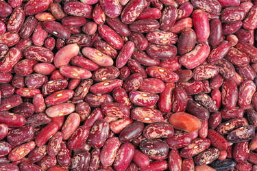 Similar image 1779378