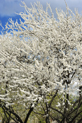 Similar image 1779381