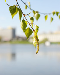 Similar image 1779384