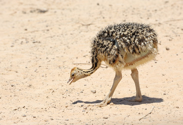 Similar image 1779419