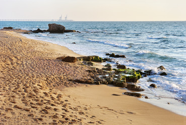 Similar image 1779431