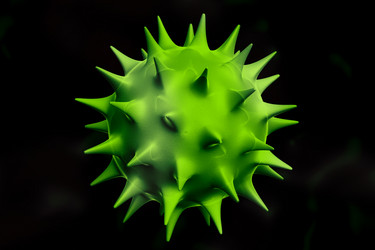 Similar image 1779436