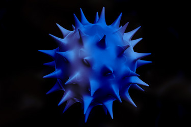 Similar image 1779437