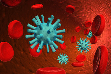 Similar image 1779458