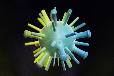 Similar image 1779459