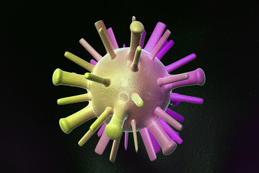 Similar image 1779460