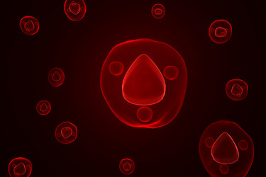 Similar image 1779461