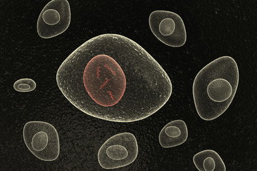 Similar image 1779465