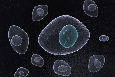 Similar image 1779466