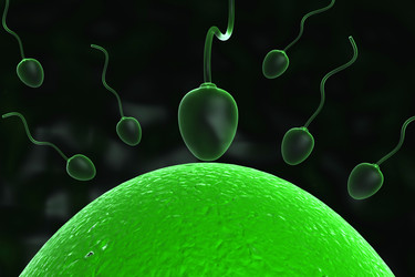 Similar image 1779468