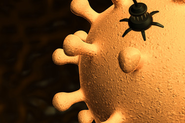 Similar image 1779470