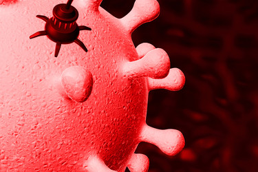 Similar image 1779471