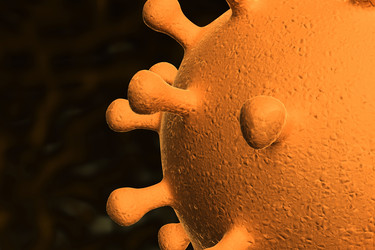 Similar image 1779474