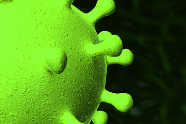 Similar image 1779475