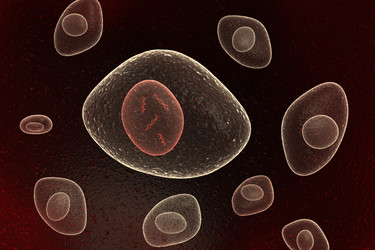 Similar image 1779477