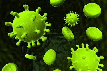 Similar image 1779480