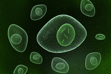 Similar image 1779482