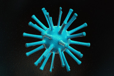 Similar image 1779484