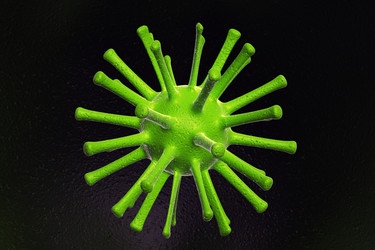 Similar image 1779485