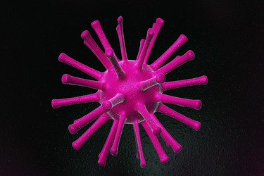 Similar image 1779487