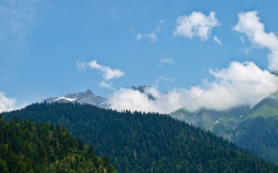 Similar image 1779637