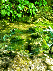 Similar image 1779660