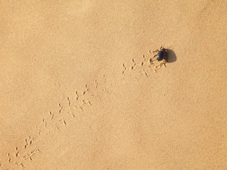 Similar image 1779963