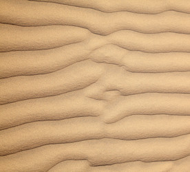 Similar image 1779964