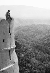 Similar image 1779971